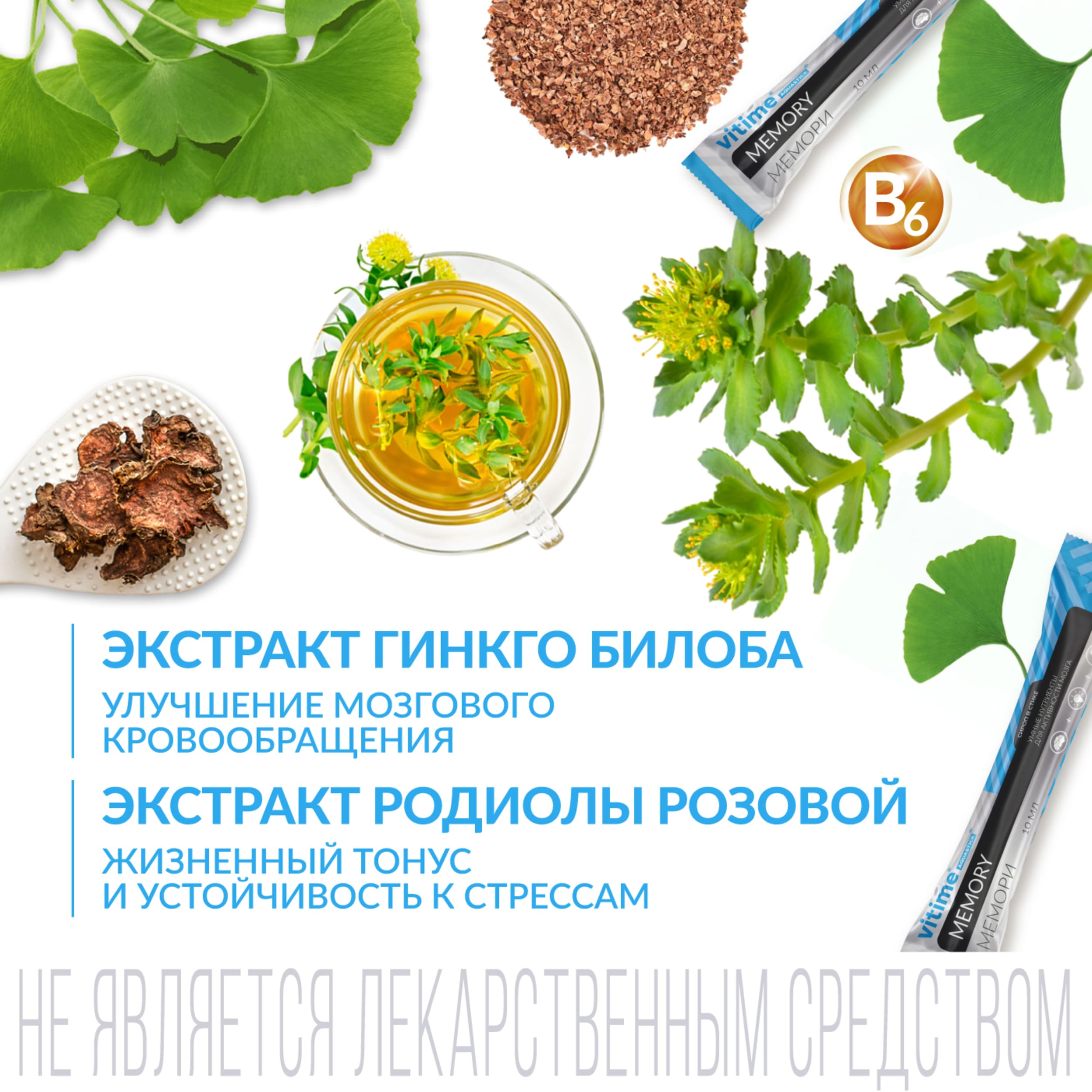Ригла Витайм Аквастик комплекс для активности мозга Мемори стик № 15