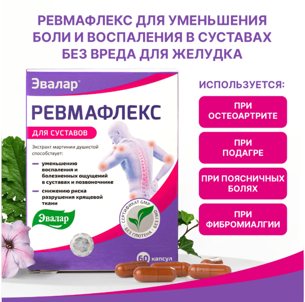 Эвалар ревмафлекс капсулы 310мг № 60